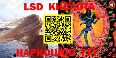СК Кингисепп