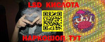 СК Кингисепп