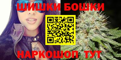 СК Кингисепп