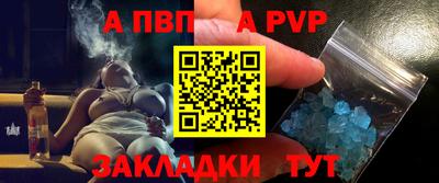 СК Кингисепп