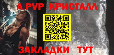 СК Кингисепп